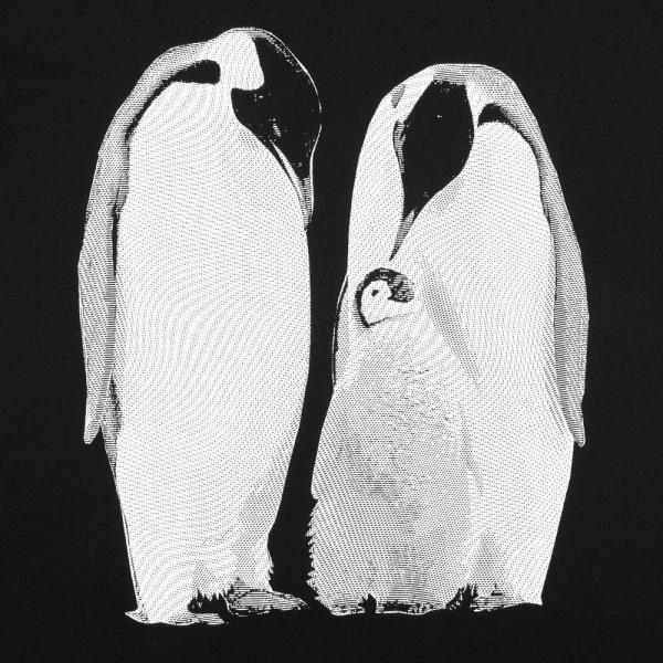 Принтэссенция Футболки Артикул 71921.30 Футболка женская Like a Penguin, черная на складе 31 шт по цене 1&nbsp;600 ₽