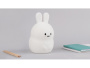 Rombica Лампы Артикул 595499 Rombica LED Rabbit, белый на складе 36 шт по цене 1&nbsp;990.00 ₽